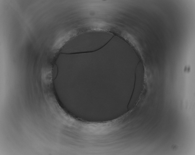 X0000111460017200907131506