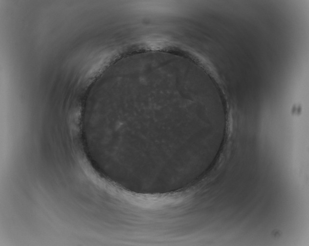 X0000111460018200907131506