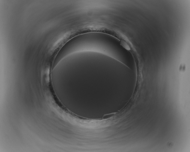 X0000111460019200907131506