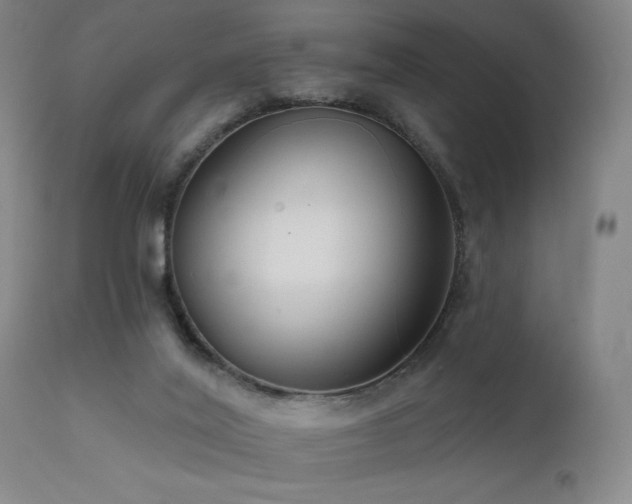 X0000111460020200907131506