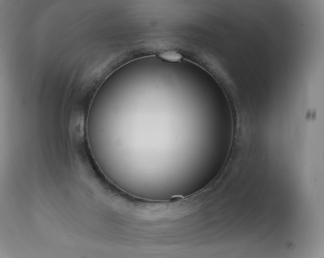 X0000111460021200907131506