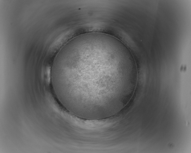 X0000111460022200907131506