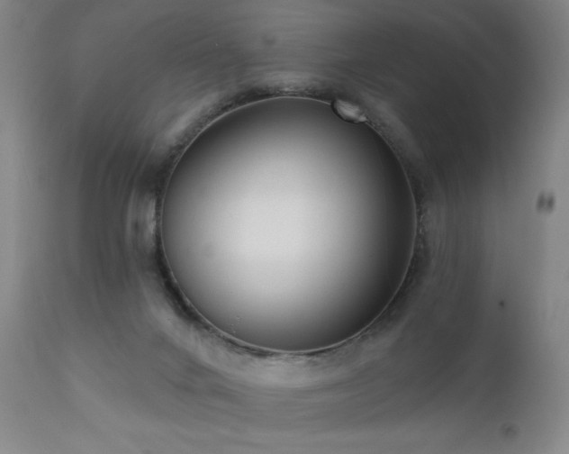 X0000111460024200907131506