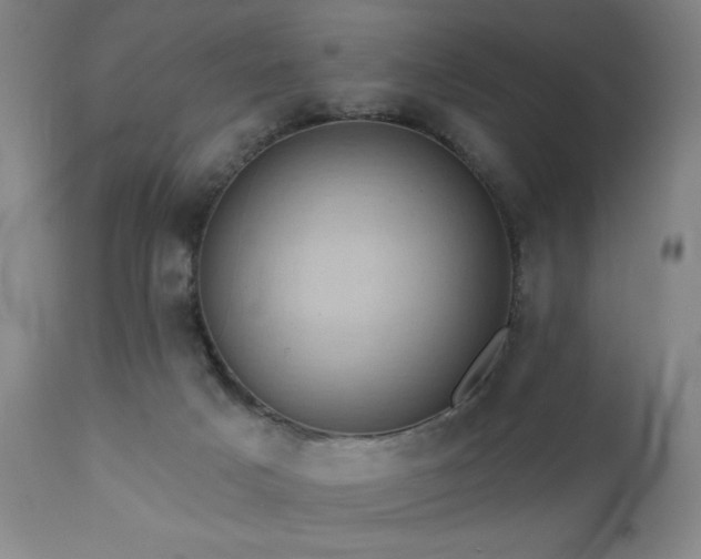 X0000111460025200907131506