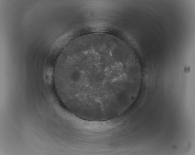 X0000111460026200907131506