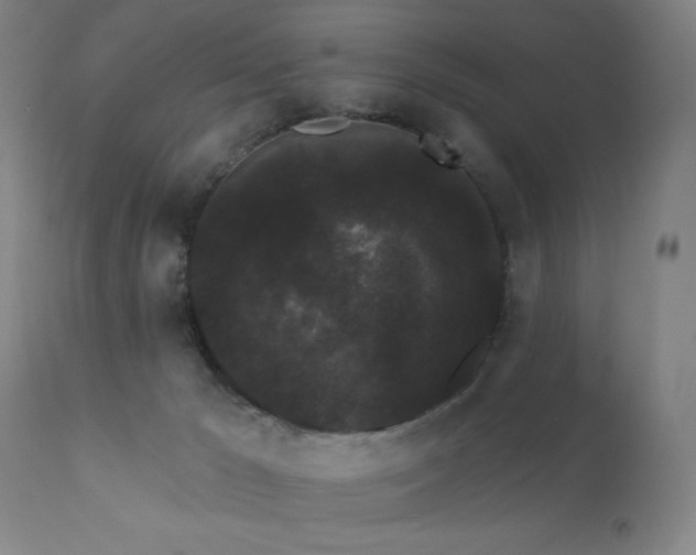 X0000111460029200907131506