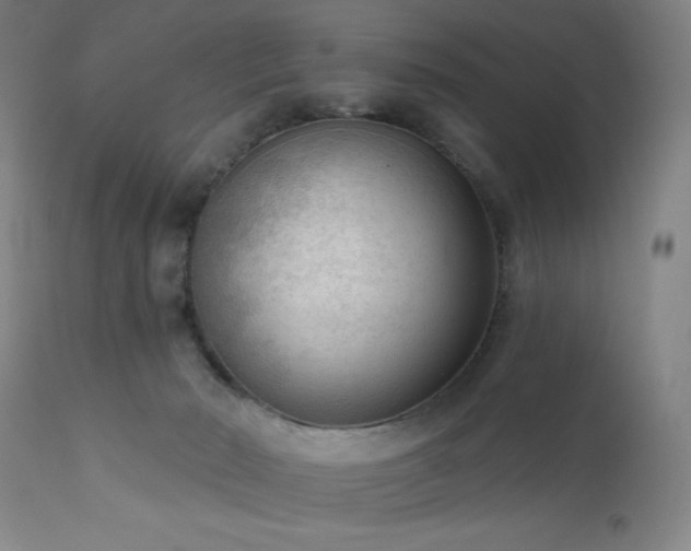 X0000111460030200907131506