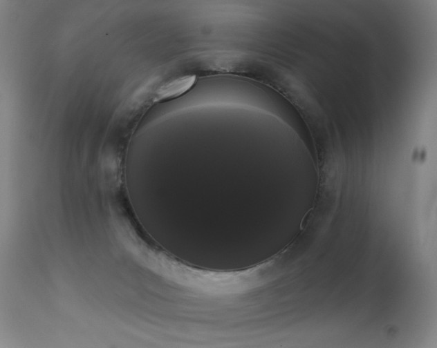 X0000111460031200907131506