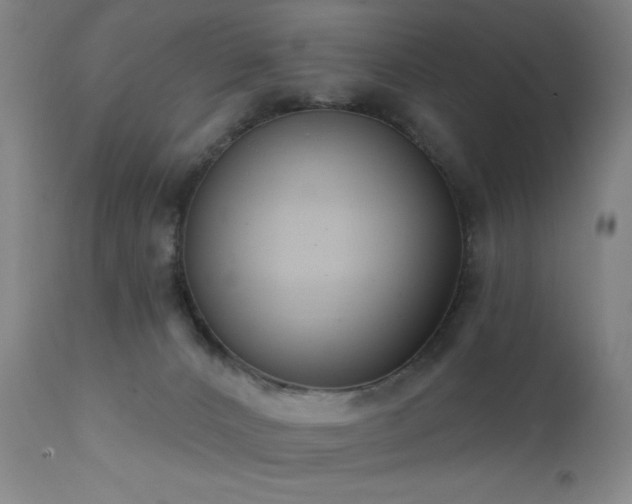 X0000111460032200907131506