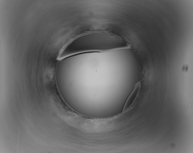 X0000111460033200907131506