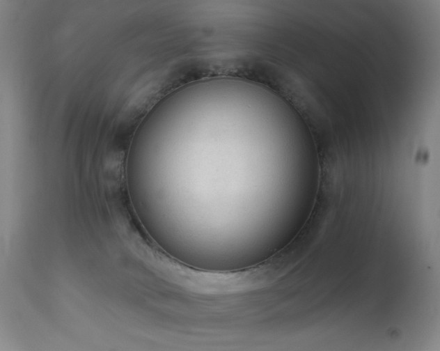 X0000111460034200907131506