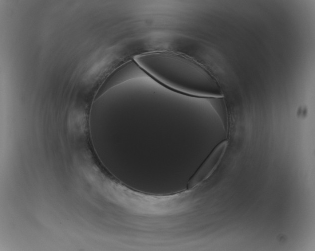 X0000111460035200907131506