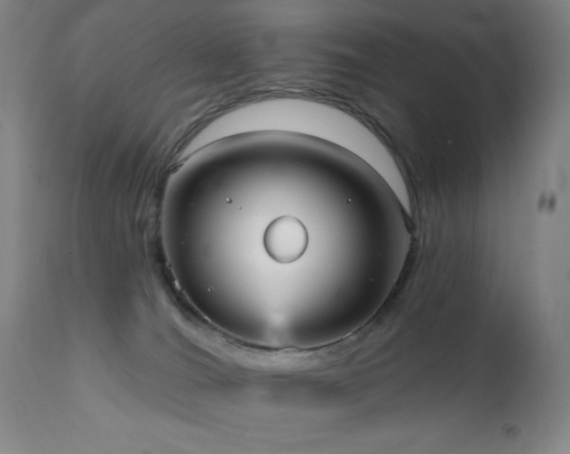 X0000111460036200907131506