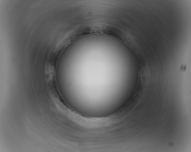 X0000111460038200907131506