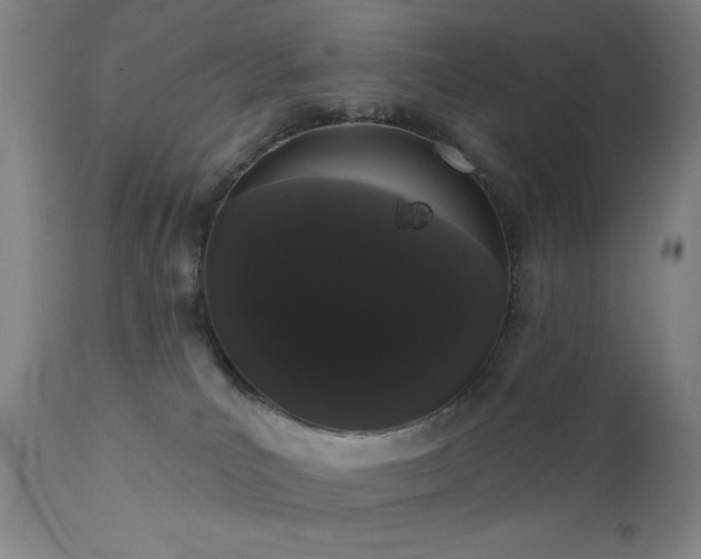 X0000111460039200907131505