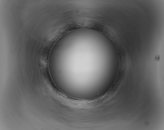 X0000111460040200907131505