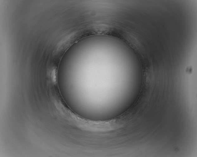 X0000111460042200907131505