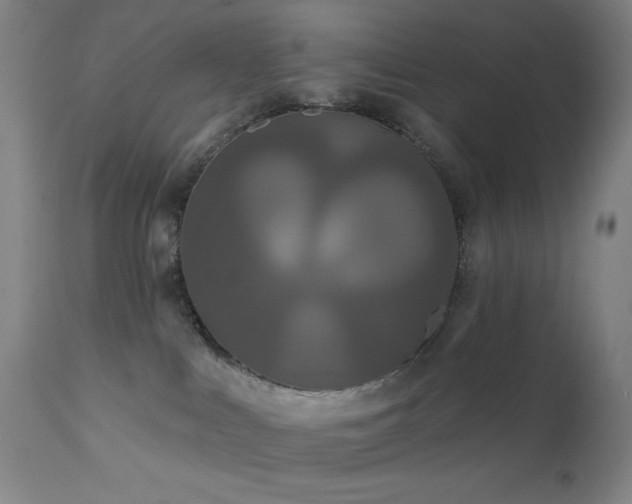 X0000111460043200907131505