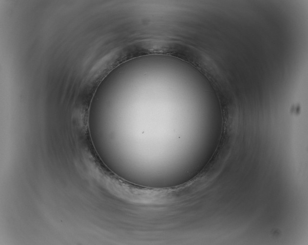 X0000111460044200907131505