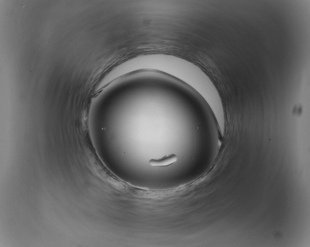 X0000111460045200907131505