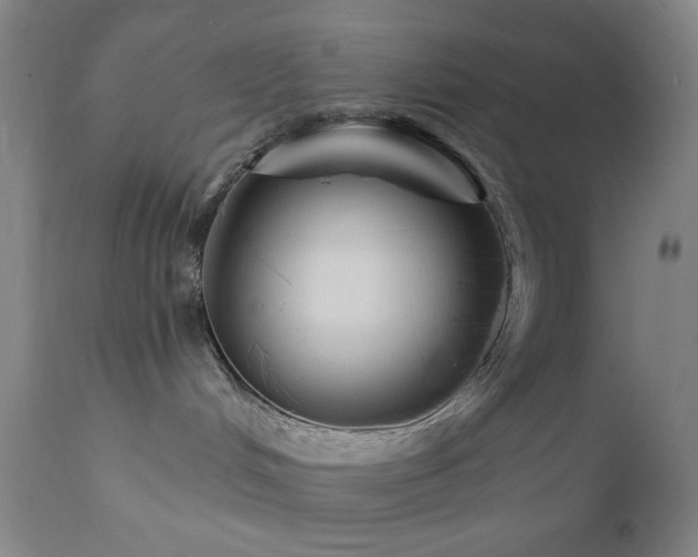 X0000111460048200907131505