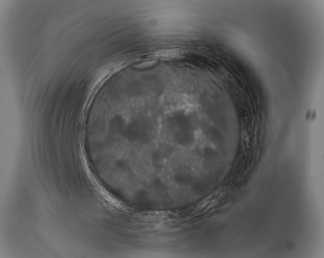 X0000111460049200907131505