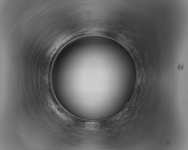 X0000111460050200907131505