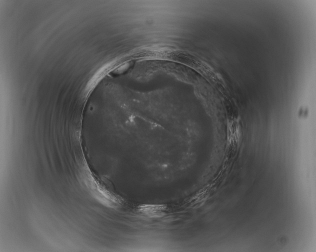 X0000111460051200907131505