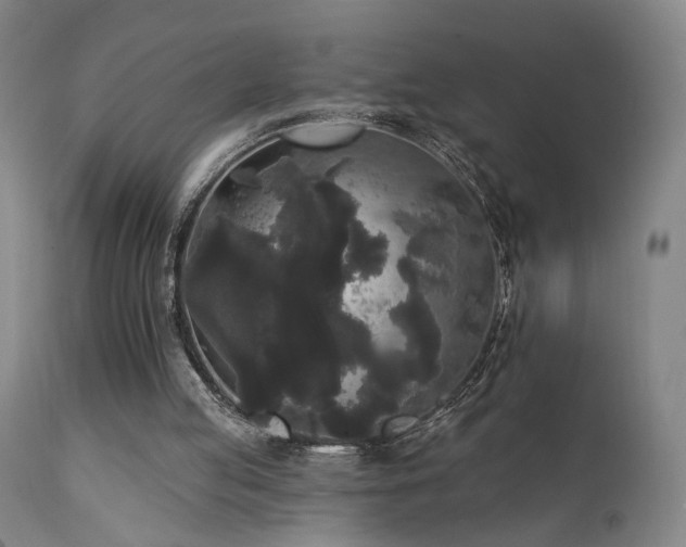 X0000111460053200907131505