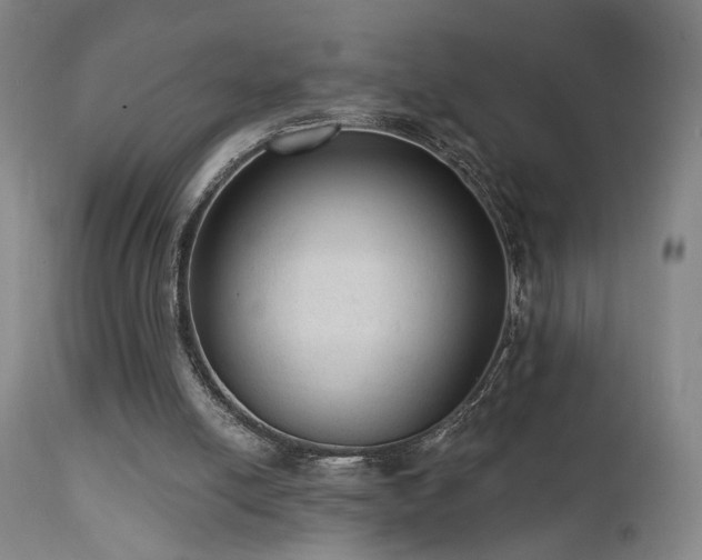 X0000111460054200907131505