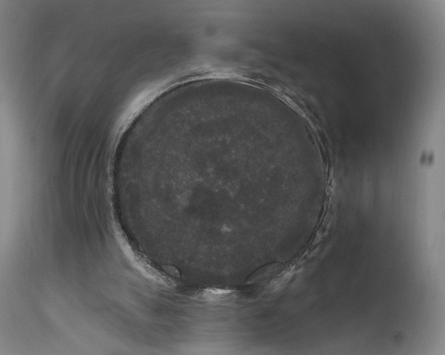 X0000111460055200907131505