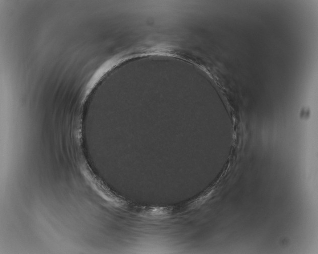 X0000111460056200907131505