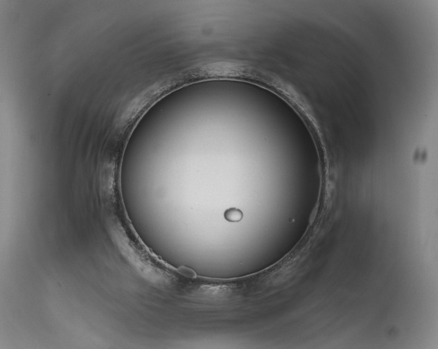 X0000111460057200907131505