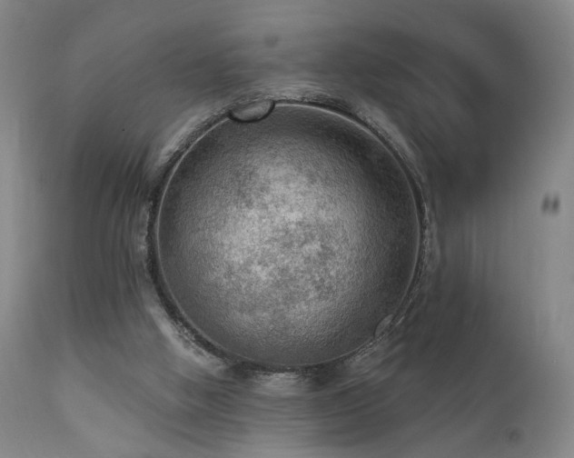 X0000111460058200907131505