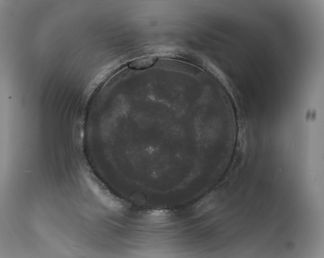 X0000111460059200907131505