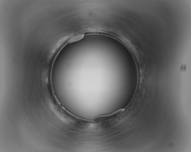 X0000111460060200907131505