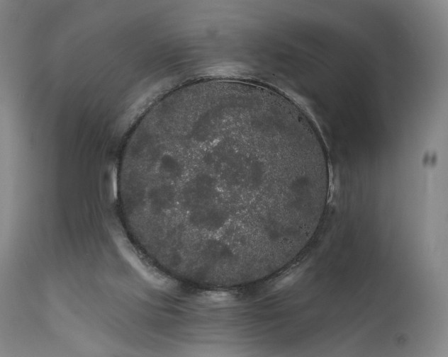 X0000111460061200907131505