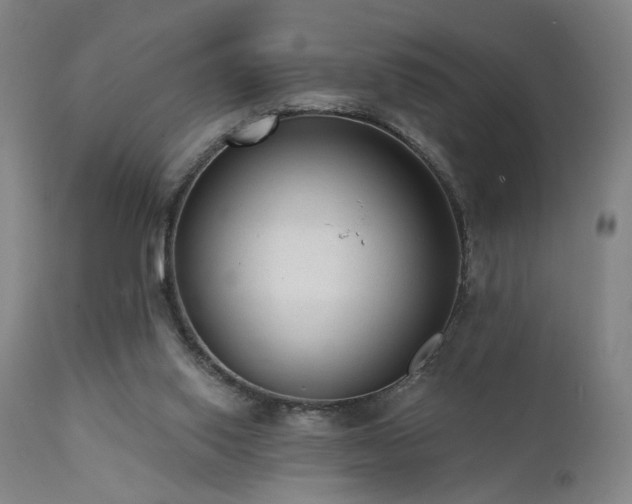 X0000111460062200907131505