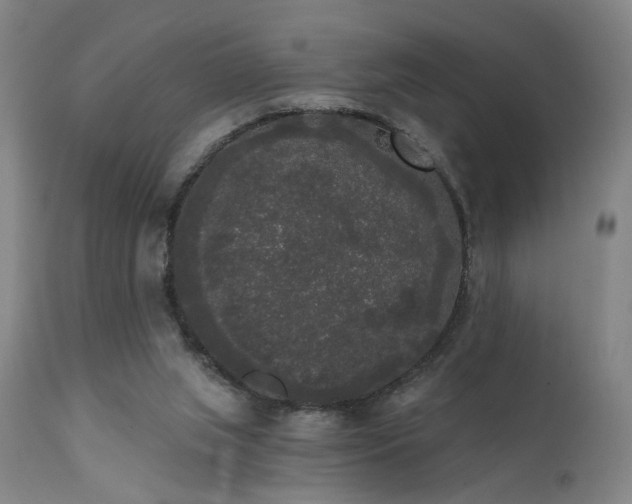 X0000111460063200907131505