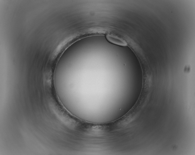 X0000111460064200907131505