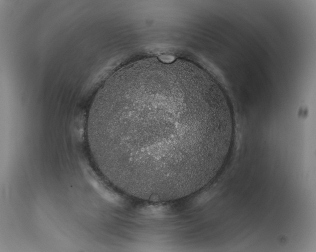 X0000111460065200907131505