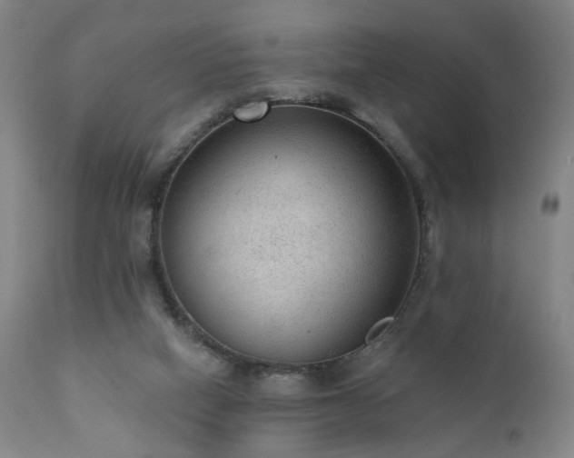 X0000111460066200907131505