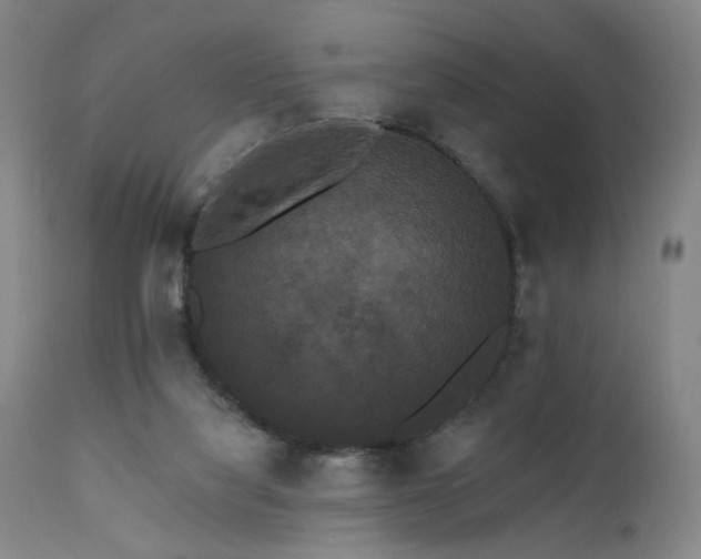 X0000111460068200907131505