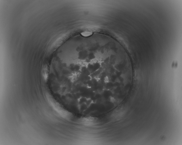 X0000111460069200907131505