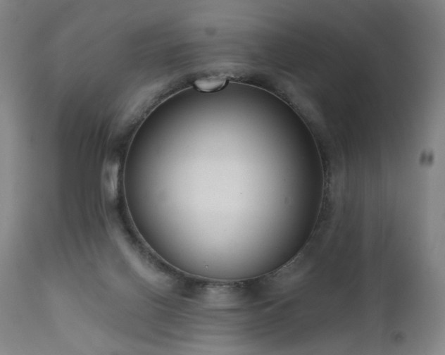 X0000111460070200907131505