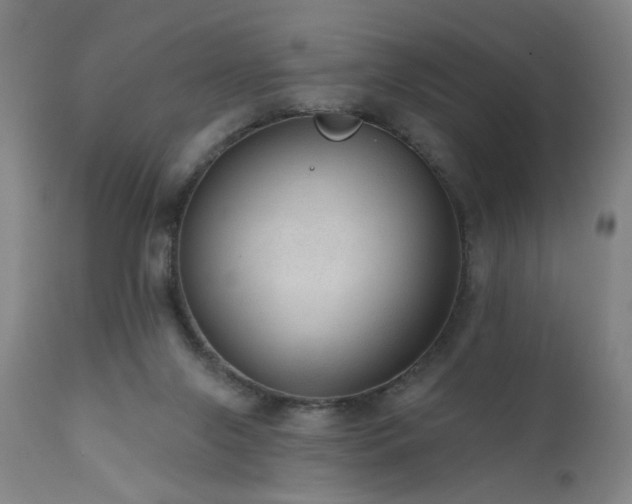 X0000111460071200907131505