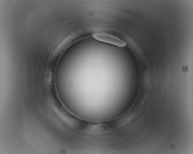 X0000111460072200907131505