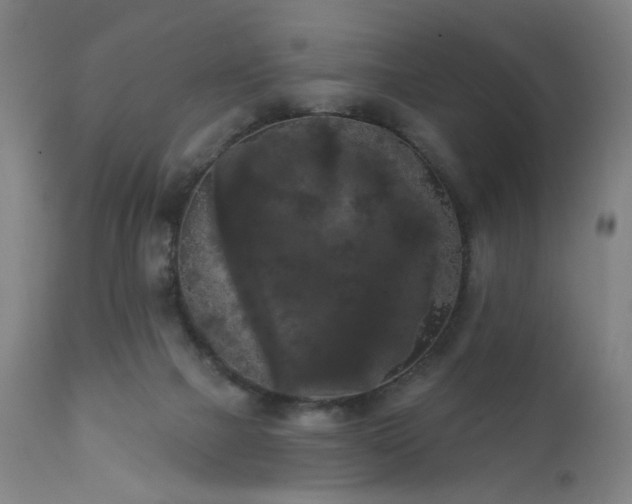 X0000111460073200907131505