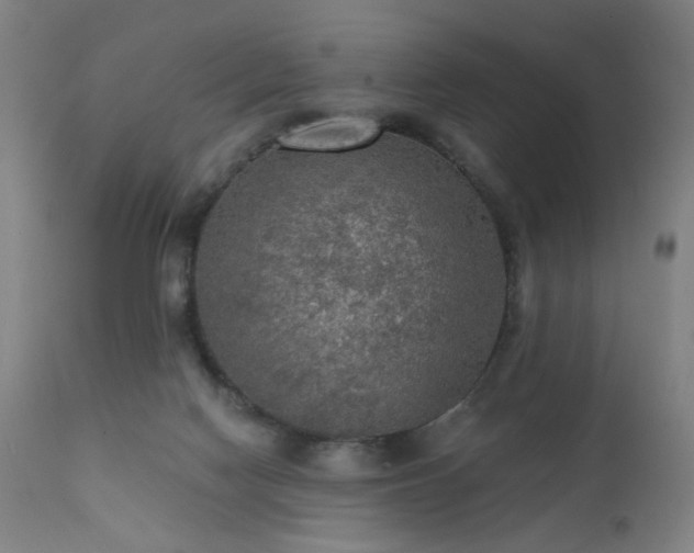 X0000111460074200907131505