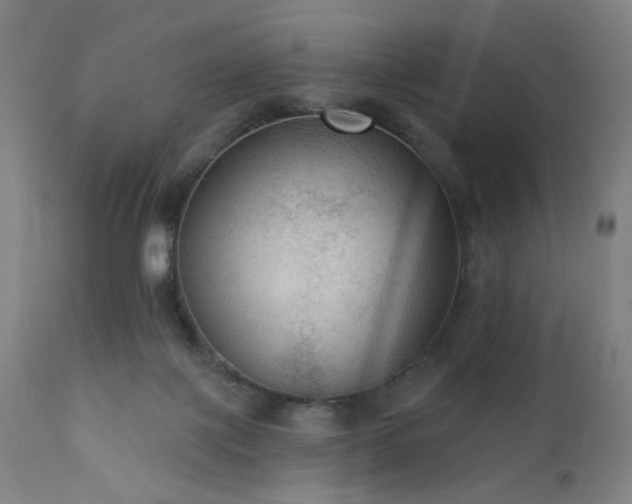 X0000111460075200907131505